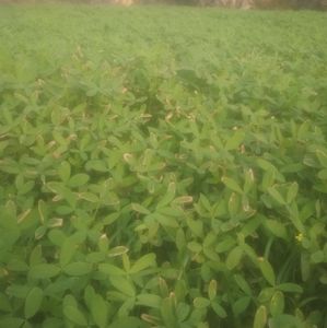 Meet your Posher, Rahul kumar